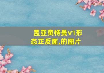 盖亚奥特曼v1形态正反面,的图片