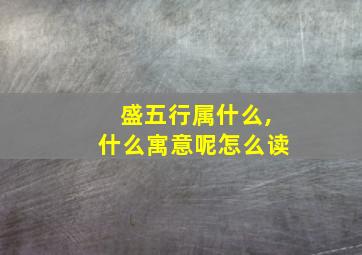 盛五行属什么,什么寓意呢怎么读