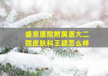 盛京医院附属医大二院皮肤科王颖怎么样