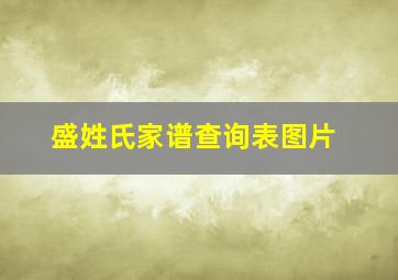 盛姓氏家谱查询表图片