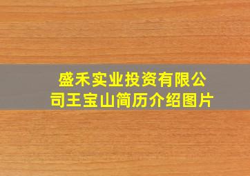 盛禾实业投资有限公司王宝山简历介绍图片