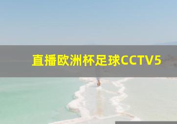 直播欧洲杯足球CCTV5