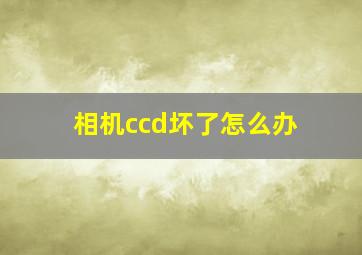 相机ccd坏了怎么办