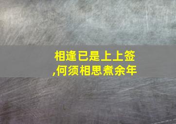 相逢已是上上签,何须相思煮余年