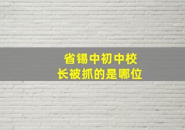 省锡中初中校长被抓的是哪位