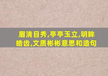 眉清目秀,亭亭玉立,明眸皓齿,文质彬彬意思和造句