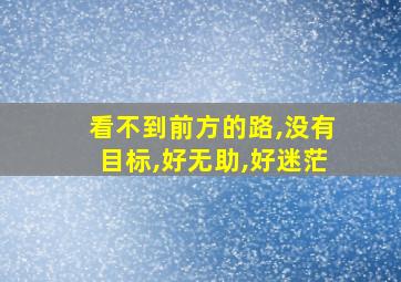 看不到前方的路,没有目标,好无助,好迷茫