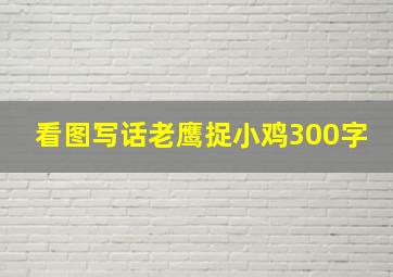 看图写话老鹰捉小鸡300字