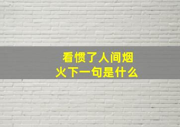 看惯了人间烟火下一句是什么