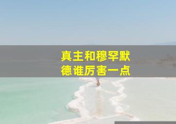 真主和穆罕默德谁厉害一点