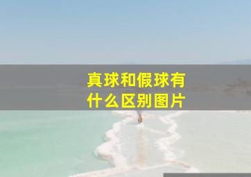 真球和假球有什么区别图片