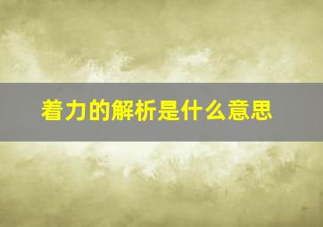 着力的解析是什么意思