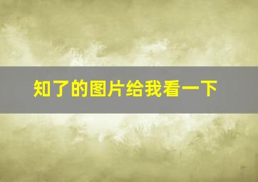 知了的图片给我看一下