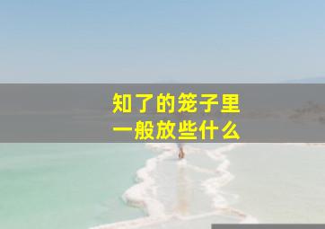 知了的笼子里一般放些什么