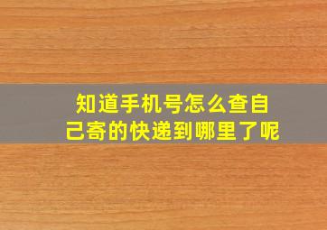 知道手机号怎么查自己寄的快递到哪里了呢