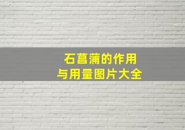 石菖蒲的作用与用量图片大全