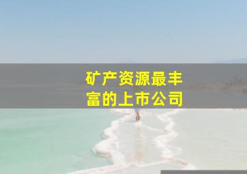 矿产资源最丰富的上市公司