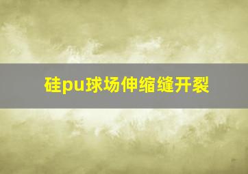 硅pu球场伸缩缝开裂