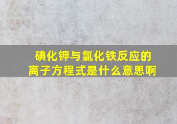 碘化钾与氯化铁反应的离子方程式是什么意思啊