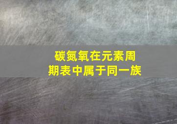 碳氮氧在元素周期表中属于同一族