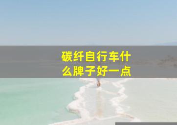 碳纤自行车什么牌子好一点