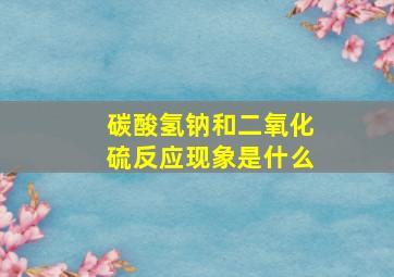 碳酸氢钠和二氧化硫反应现象是什么