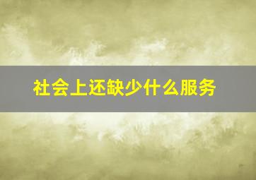 社会上还缺少什么服务