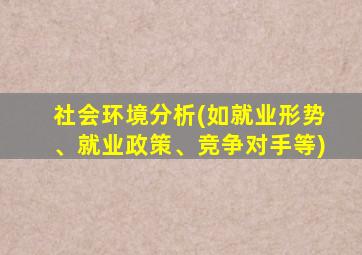 社会环境分析(如就业形势、就业政策、竞争对手等)