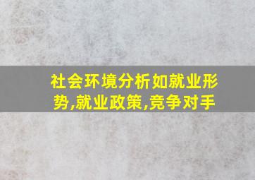 社会环境分析如就业形势,就业政策,竞争对手