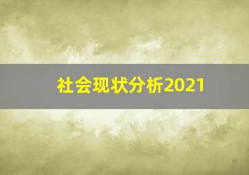 社会现状分析2021