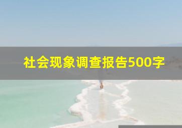 社会现象调查报告500字