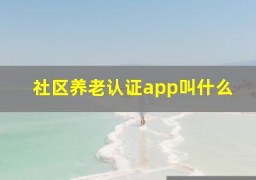 社区养老认证app叫什么