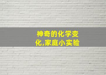 神奇的化学变化,家庭小实验