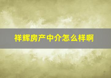 祥辉房产中介怎么样啊