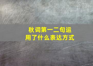 秋词第一二句运用了什么表达方式