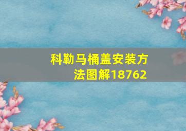 科勒马桶盖安装方法图解18762