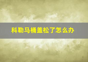 科勒马桶盖松了怎么办