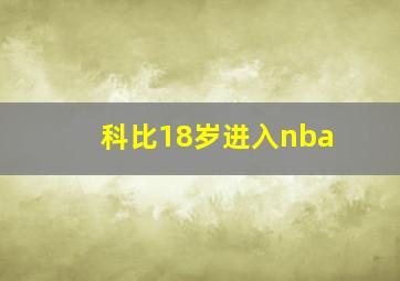 科比18岁进入nba