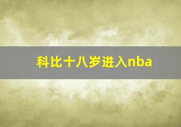 科比十八岁进入nba