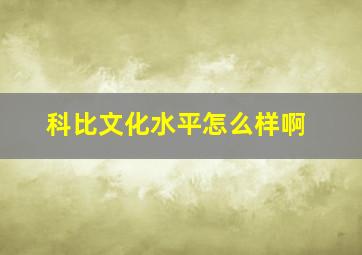 科比文化水平怎么样啊