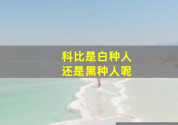 科比是白种人还是黑种人呢