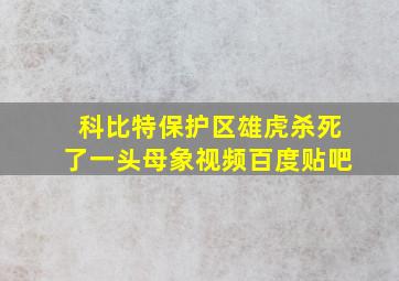 科比特保护区雄虎杀死了一头母象视频百度贴吧