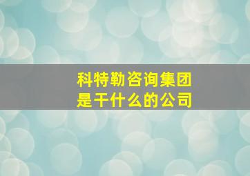 科特勒咨询集团是干什么的公司