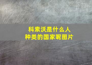 科索沃是什么人种类的国家呢图片