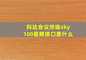 科达会议终端sky100音频接口是什么