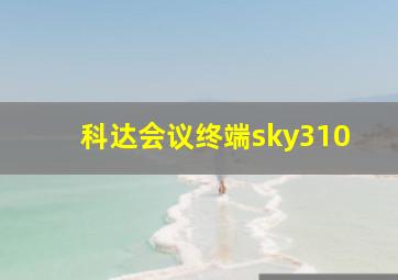 科达会议终端sky310