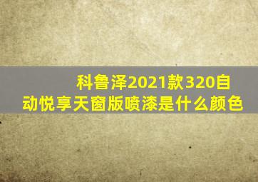 科鲁泽2021款320自动悦享天窗版喷漆是什么颜色