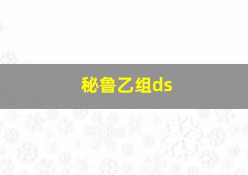 秘鲁乙组ds