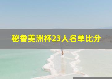 秘鲁美洲杯23人名单比分