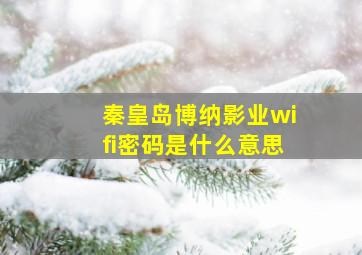 秦皇岛博纳影业wifi密码是什么意思